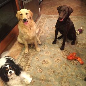 Meet your Posher, Dean